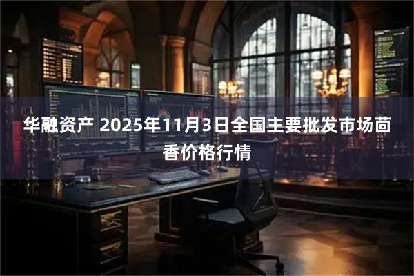 华融资产 2025年11月3日全国主要批发市场茴香价格行情