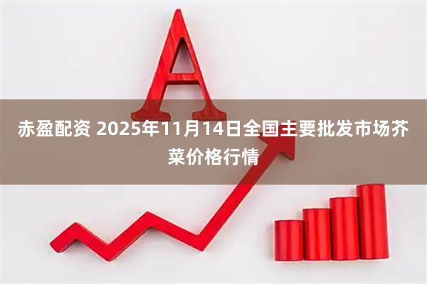 赤盈配资 2025年11月14日全国主要批发市场芥菜价格行情