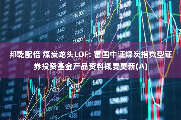 邦乾配倍 煤炭龙头LOF: 富国中证煤炭指数型证券投资基金产品资料概要更新(A)