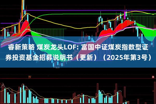 睿新策略 煤炭龙头LOF: 富国中证煤炭指数型证券投资基金招募说明书（更新）（2025年第3号）