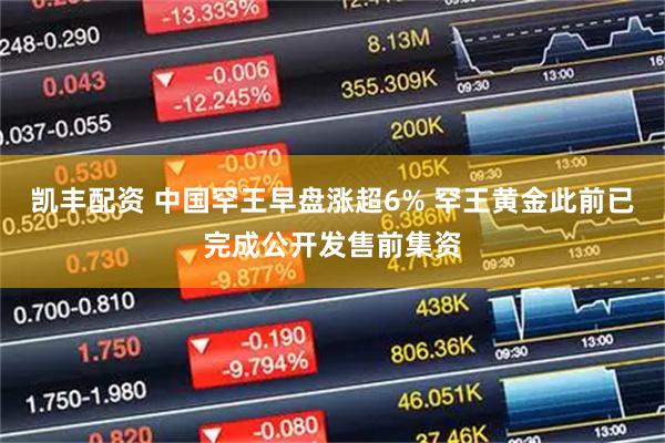 凯丰配资 中国罕王早盘涨超6% 罕王黄金此前已完成公开发售前集资