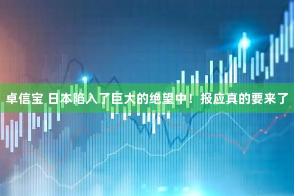 卓信宝 日本陷入了巨大的绝望中！报应真的要来了